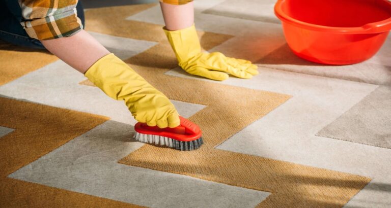 Brushing And Dry Carpet Cleaning