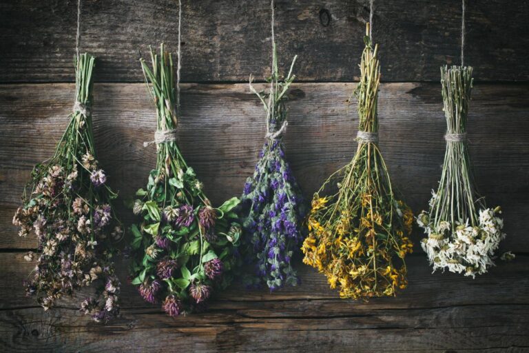 Flower Preservation Techniques: How to Keep Your Flowers Looking Beautiful for Longer
