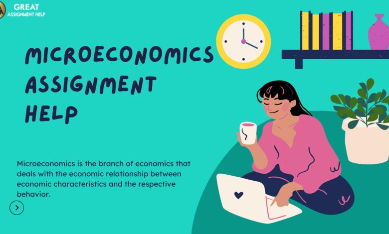 microeconomics iii assignment 1