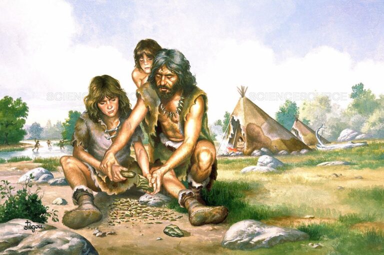 A Brief Look into the Differences Between Neanderthals and Homosapiens
