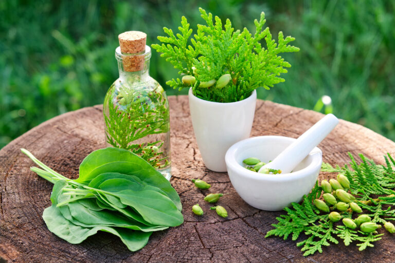 Ancient Wisdom, Modern Solutions: Herbal Remedies for Today’s Lifestyle