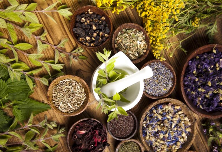 A Natural Path to Wellbeing: Exploring Herbal Remedies for Health
