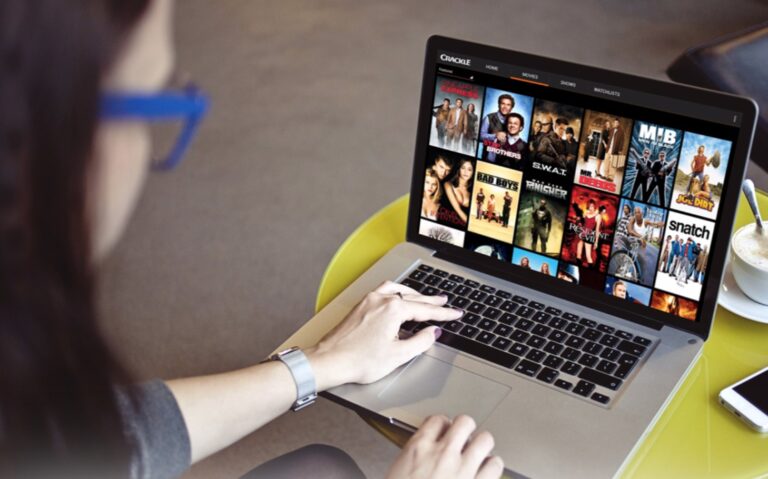 A Closer Look at the Controversial Movie and TV Show Streaming Website HD Hub 4u.