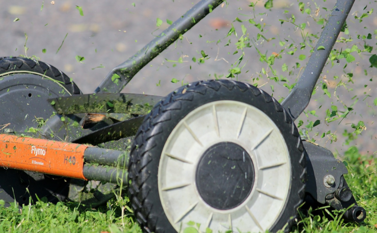 Unlocking the Secrets to a Pristine Lawn: Choosing the Best Grass Cutter