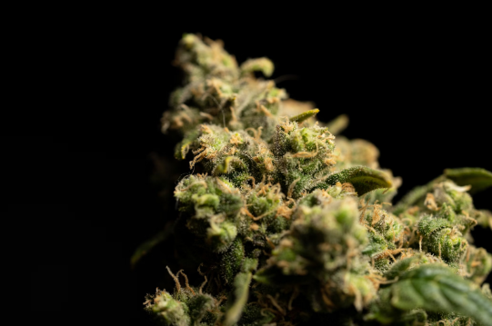 Balancing THC with CBD: The Role of Cannabinoids in Cartridges